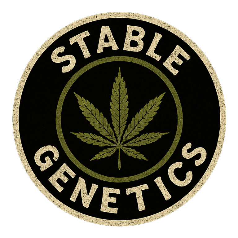 Stable Genetics logo featuring a stylized green cannabis leaf centered inside a circular black badge with beige text reading ‘Stable Genetics’ around the edge.